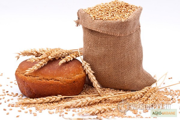 ячна (з ячменю) ячна (з ячменю)